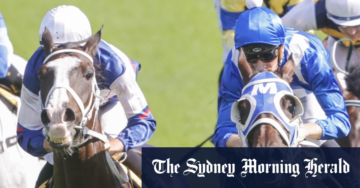 After 43 straight Sydney runners without a winner, Waller’s machine cranks up again