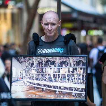 Andy Faulkner displays a monitor playing scenes of animal cruelty in Sydney’s Pitt Street Mall.