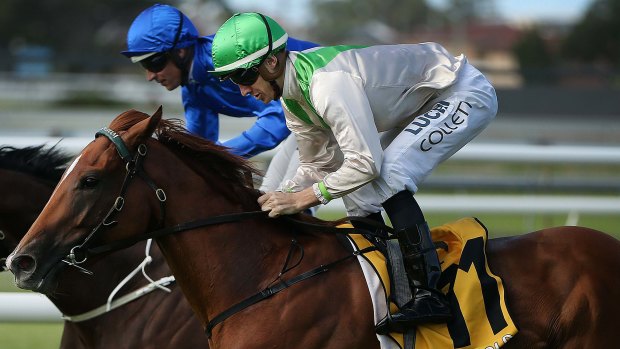 Danger: Onthetake, seen here winning at Newcastle, is a good chance in race 3.