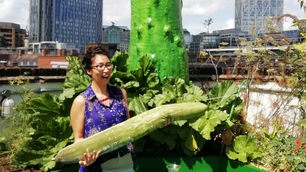 Former Canberra GoodFood editor Natasha Rudra with gherkins at The Culpeper Rooftop kitchen garden in London.