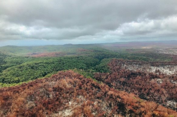 Evaluation of the fire’s impacts on the unique island ecosystem, including tropical rainforests, ancient dune systems and protected species including dingoes, is ongoing.