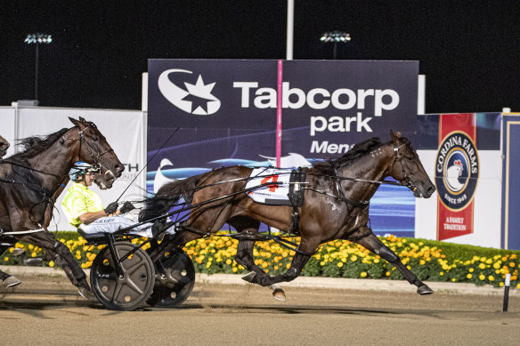 King Of Swing takes out last year’s Miracle Mile at Menangle.  He is an odds-on favourite to defend the title on Saturday.