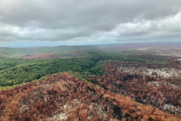 An aerial view of part of the Fraser fireground in mid-December after rain finally began to help contain the blaze.