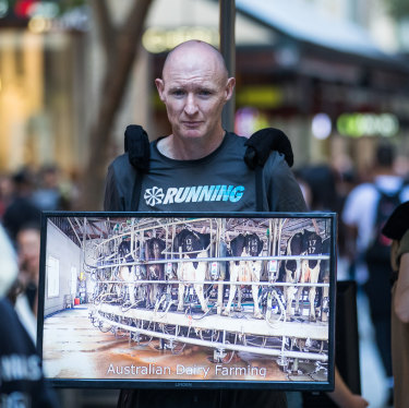 Andy Faulkner présente un moniteur jouant des scènes de cruauté envers les animaux dans le centre commercial Pitt Street de Sydney.