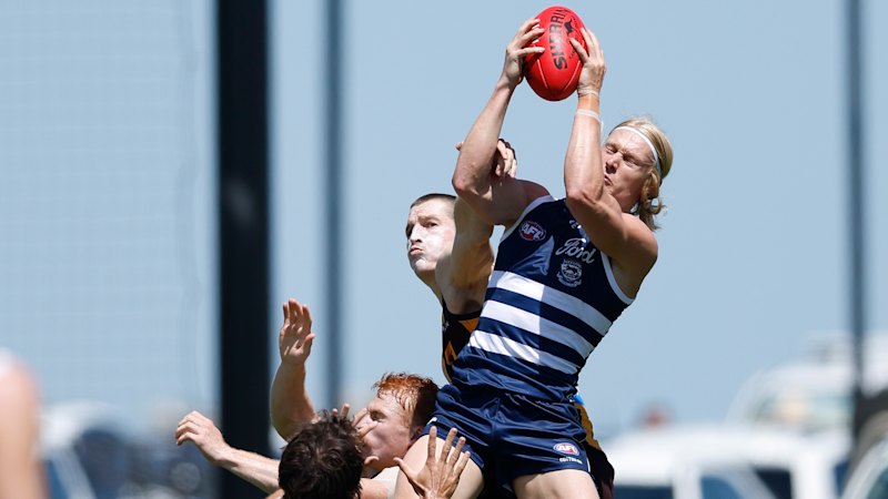 AFL match simulation: Hawks grab the win but depleted Cats had one eye-catcher