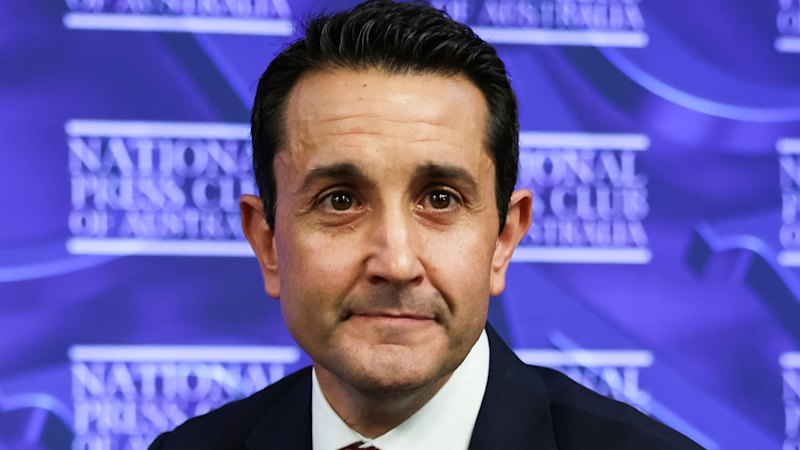 The favourite floated to replace Camm in Crisafulli’s cabinet