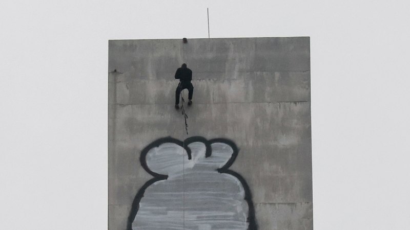 Art or vandalism? Behind the cult of Pam the Bird (australia) — SMH