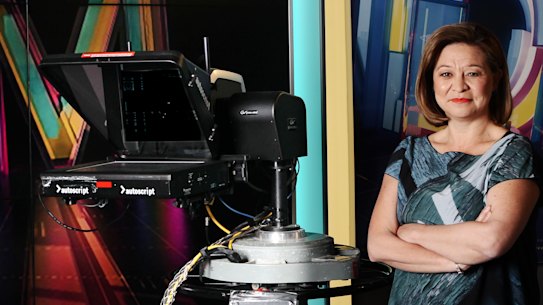 Head of ABC and SBS review says viewers have 'no reason to worry'