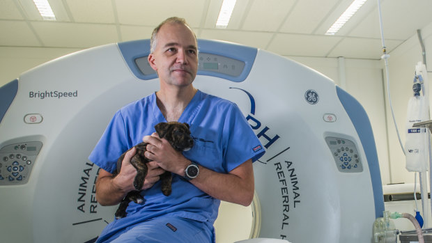 Fyshwick veterinarian Dr Jacob Michelsen believes reform is needed in the vet industry. 