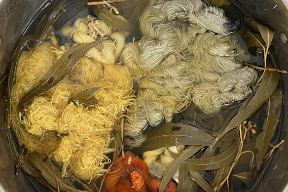 The Australian Tapestry Workshop has been dyeing yarn with native plants