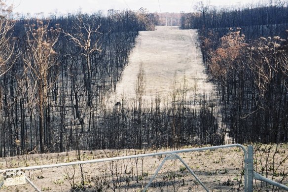 The documentary Australia Burns - The Silence of the Land screens on SBS on Sunday evening.