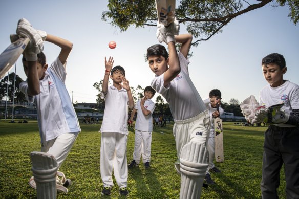 Members of the Carlingford Waratah Juniors at Kingsdene Oval in Sydney.