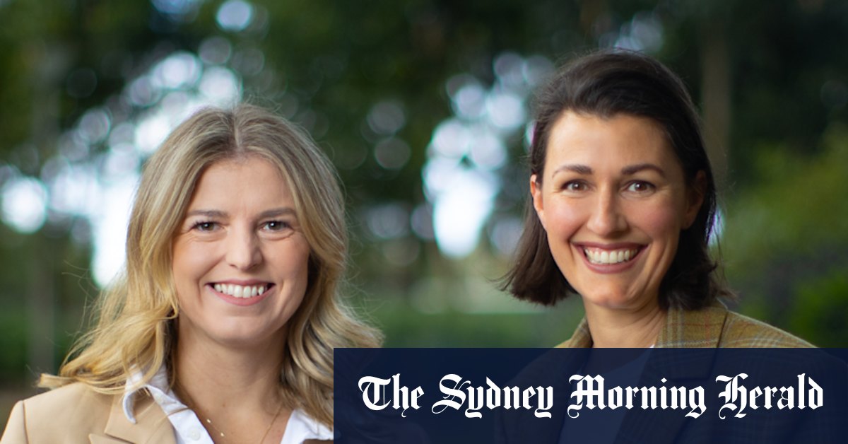Can a member of parliament job-share? These childhood friends want to find out - Vimarsana News