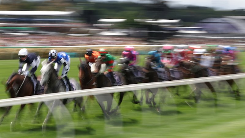 Melbourne Cup results 2025: The finishing order