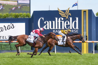 Probabeel, ridden by Damian Lane, beats Arcadia Queen to win the Futurity Stakes at Caulfield on Saturday.