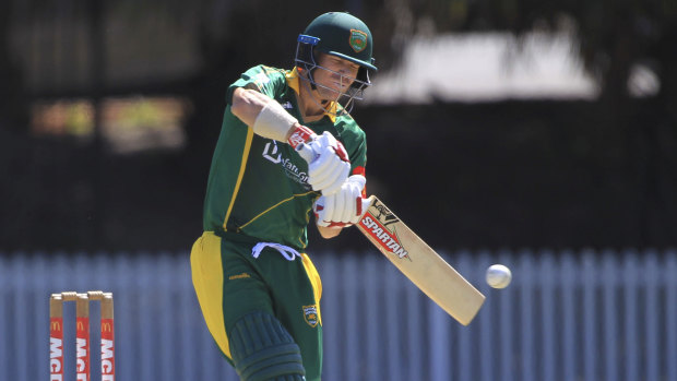 Outrageous: Dave Warner, seen here playing for Randwick-Petersham last November, has reminded all of his skill level.
