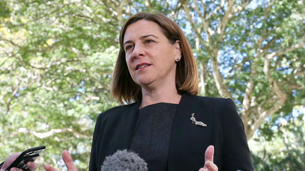 LNP leader Deb Frecklington said her party would consider reintroducing boot camps as one way to address youth crime.