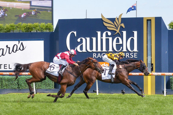 Probabeel, ridden by Damian Lane, beats Arcadia Queen to win the Futurity Stakes at Caulfield on Saturday.