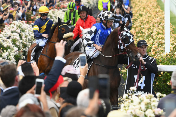 Red Cardinal finished last in the 2018 Melbourne Cup.