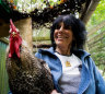 Birds activist called herself ‘that crazy chicken lady’