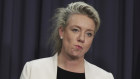 Agriculture Minister Bridget McKenzie may try to drag the PM's office into the grants scandal.