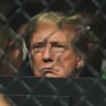 Donald Trump cage-side at the UFC tournament in New Jersey.