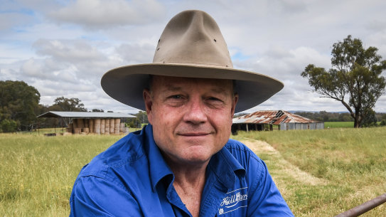 Greg Mirabella last year.