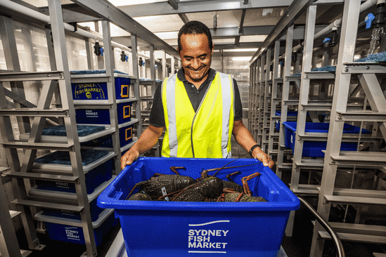 Inside the new Sydney Fish Market.