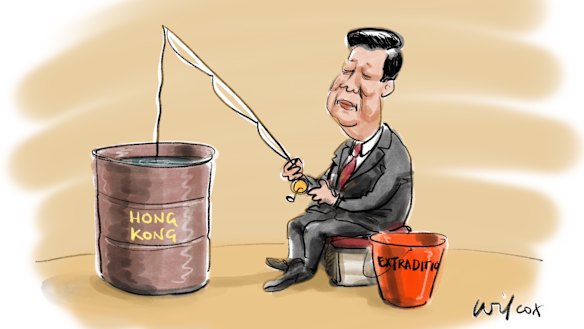 Illustration: Cathy Wilcox