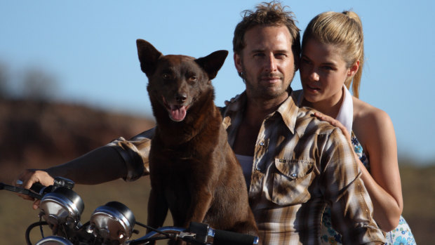 Koko with Josh Lucas and Rachael Taylor in Red Dog.