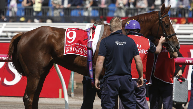 Red Cadeaux at the 2015 Emirates Melbourne Cup. 