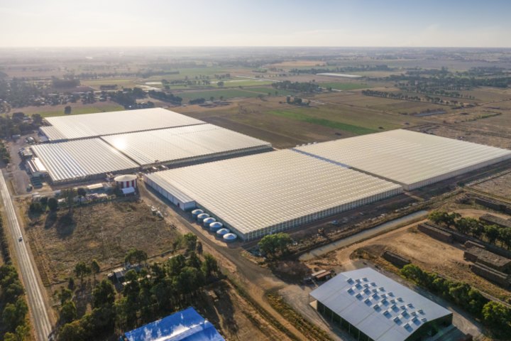 The glasshouse facility was started by the Van den Goor family in 2004.