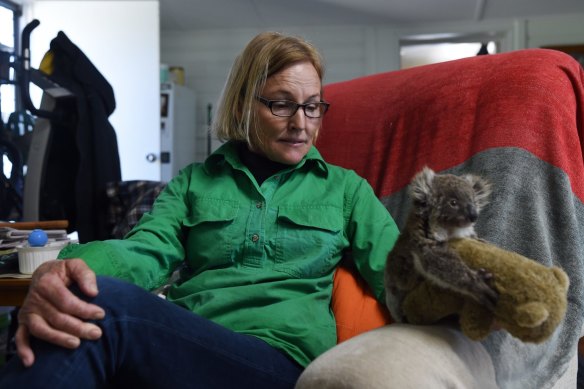 Some farmers such as Alaine Anderson from the Moree region of northern NSW, have stepped in to rescue koalas from land clearing by neighbours.