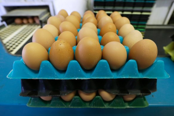 Australia will soon phase out caged eggs.