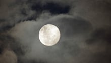 Provided skies are clear, the full moon will be easy to see without any special equipment. 