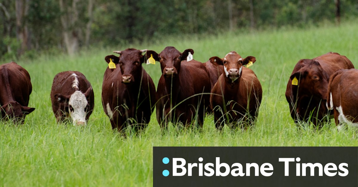 NSW invests $125 million in farming to grow greenhouse cuts - Vimarsana News