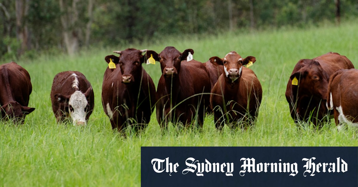 NSW invests $125 million in farming to grow greenhouse cuts - Vimarsana News