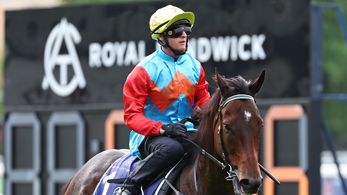Horse racing news 2026: Ka Ying Rising finishes second in barrier trial ...