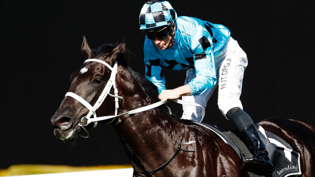 James McDonald has eight rides at Randwick on Saturday compared with Bowman's full book of nine.