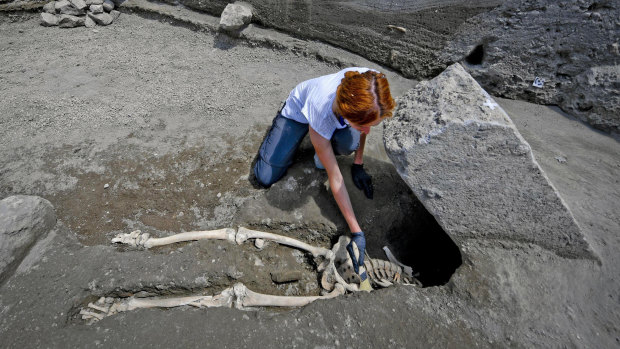 Anthropologist Valeria Amoretti works with a brush on a skeleton of a victim of the eruption of Mount Vesuvius in AD79, which destroyed the ancient town of Pompeii, near Naples.