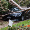 The suburbs hardest hit by Sydney's lengthening storm season