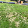 ‘Equally disappointed’: A-League club slams council over dodgy surface