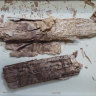 Dr Mark Allon and the 2000-year-old Gandharan Buddhist manuscripts.