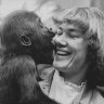 Zoo keeper Ulli Weiher with baby gorilla Mzuri and at Melbourne Zoo in 2024.