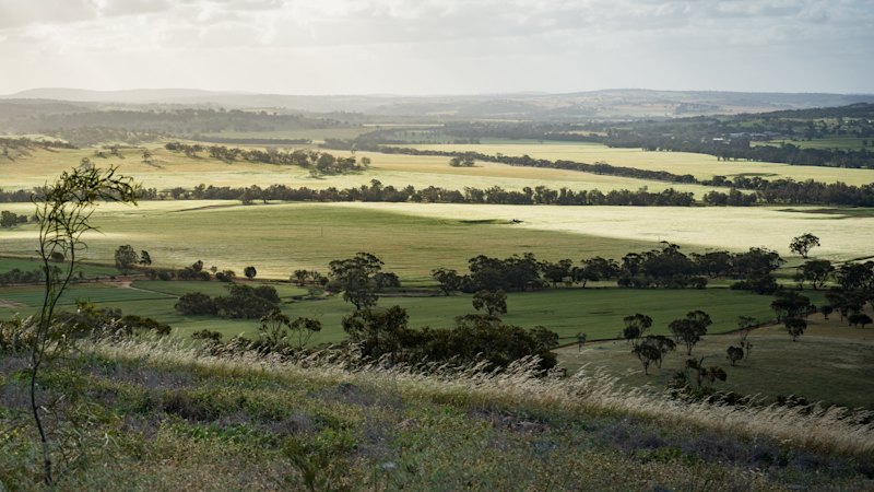 Susan bought a rural property as a ‘vague retirement plan’. Now she’s using it to reverse history