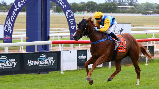 Hands and heels: Racing returns to Hawkesbury today for an eight-race card.