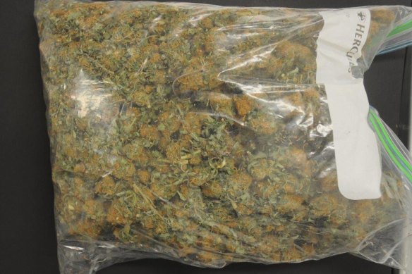 Police seized a large amount of cannabis as part of the operation.