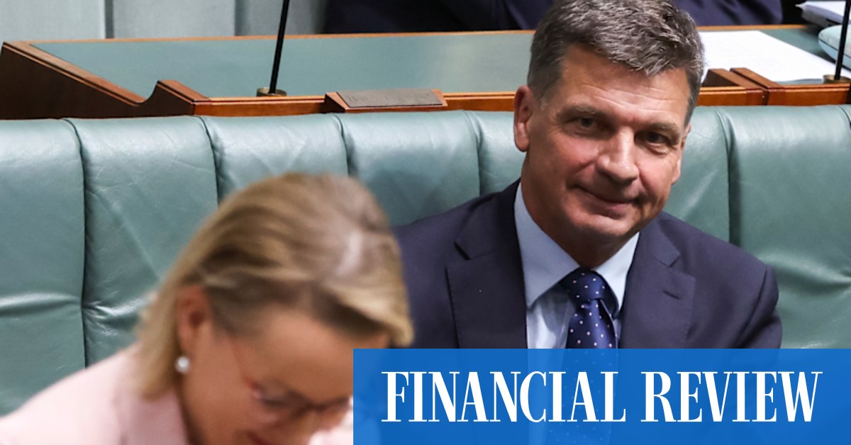 Angus Taylor may be a reluctant conscript for a leadership battle this early in the year, but if he wants the job he can’t wait for someone to hand it to him.