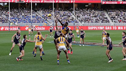 Team Fremantle Dockers News Players Match Reports The Age