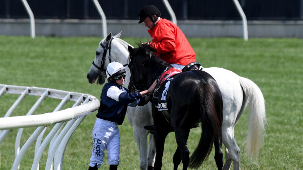 Jockey Ryan Moore is assisted by a race steward after The Cliffsofmoher was injured.